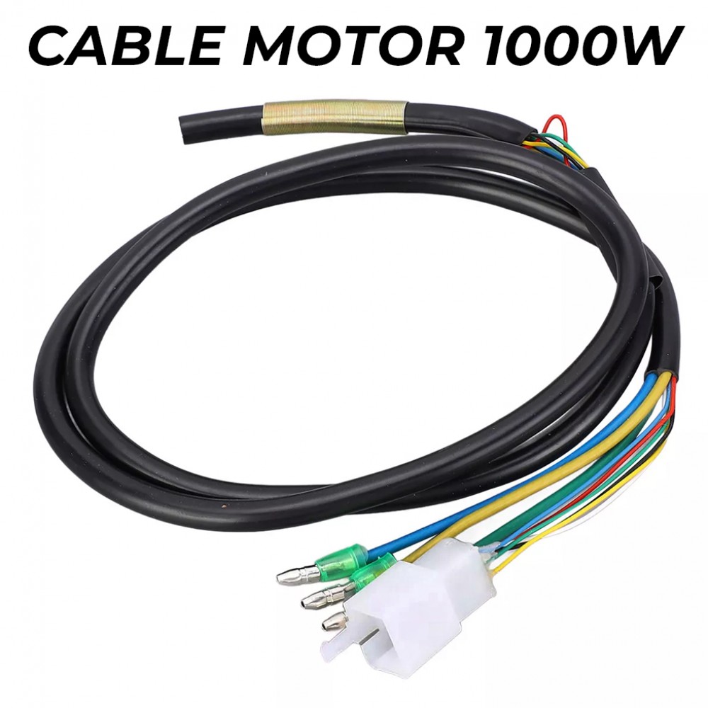 Cable motor genérico 1000W compatible con smartgyro?1785194296